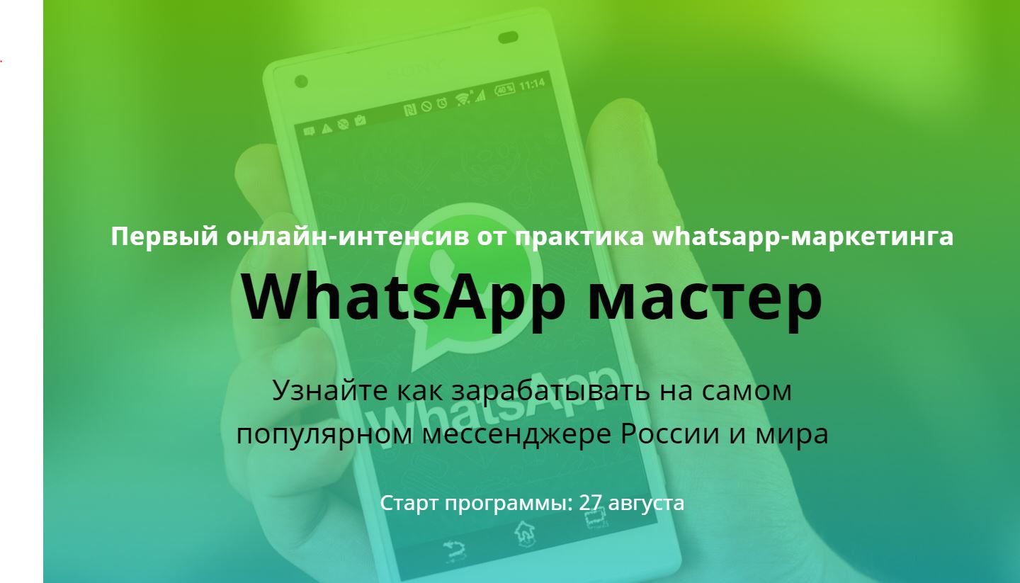 Картинка [Илья Егоров] WhatsApp Мастер: Зарабатываем на самом популярном мессенджере (2018)