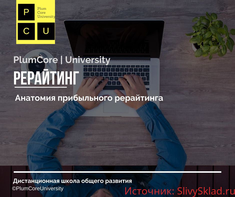 Картинка Анатомия прибыльного Рерайтинга