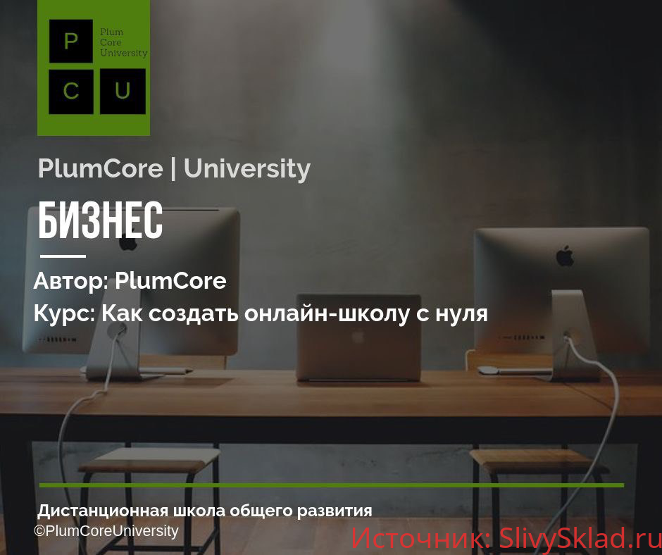 Картинка [Plumcore] Как создать онлайн-школу с нуля