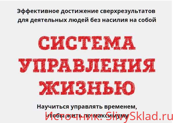 Картинка [Юрий Черников] Система управления жизнью (2019)