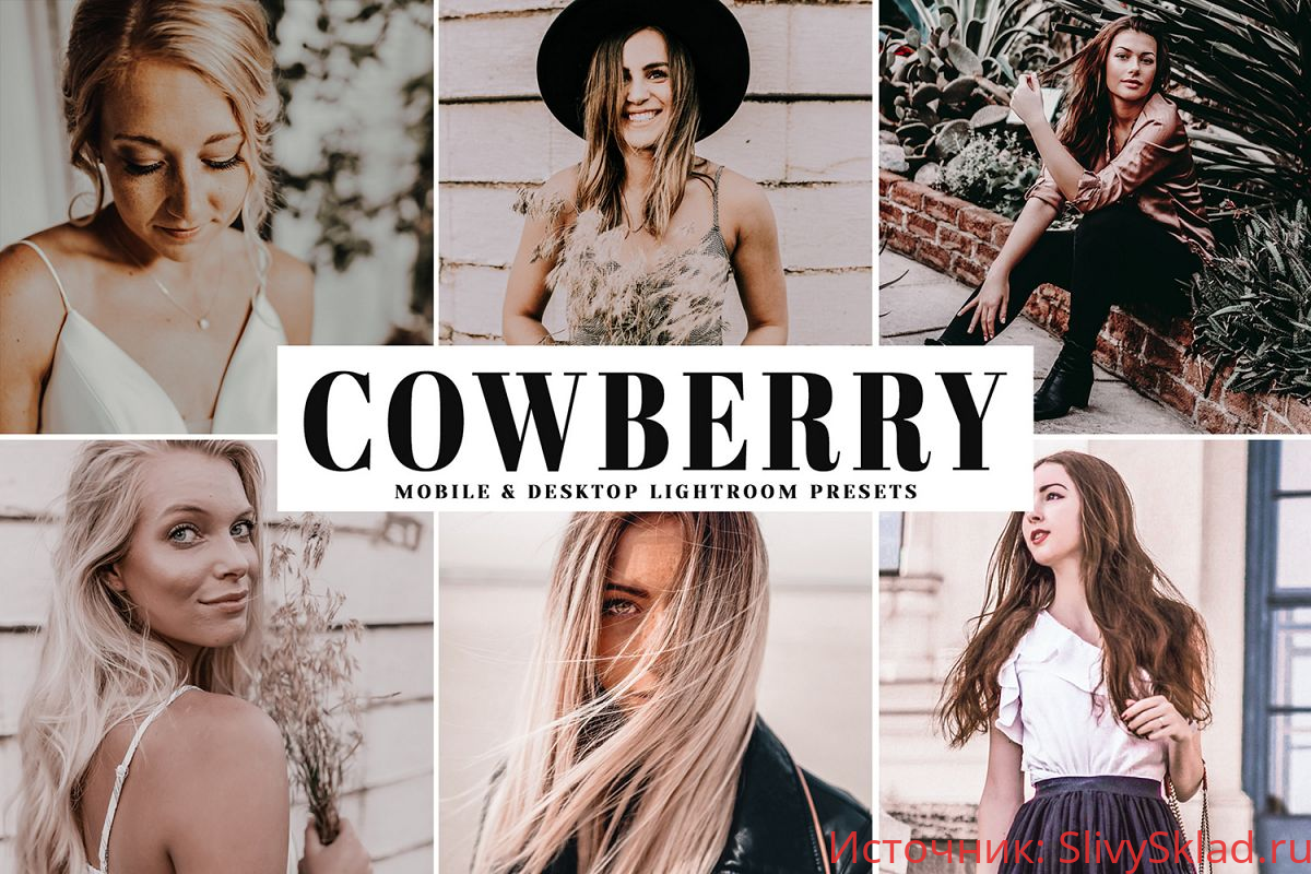 Картинка [Creativemarket] Cowberry Mobile & Desktop Lightroom Presets (2019)