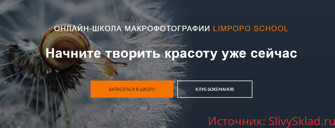 Картинка [Полина Серова, Арсен Алабердов] Курс по макрофотографии (2019)