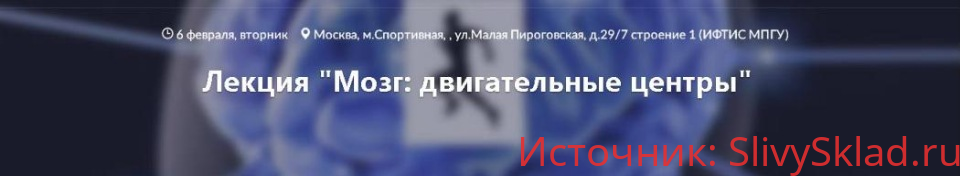 Картинка [Вячеслав Дубынин] Мозг: двигательные центры
