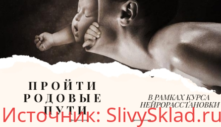 Картинка [Евгения Кузнецова] Нейрорасстановки. МК Пройти родовые пути (2019)