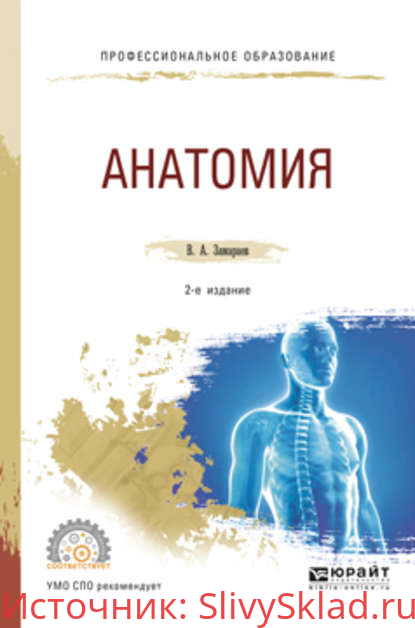 Картинка [Виктор Алексеевич Замараев] Анатомия