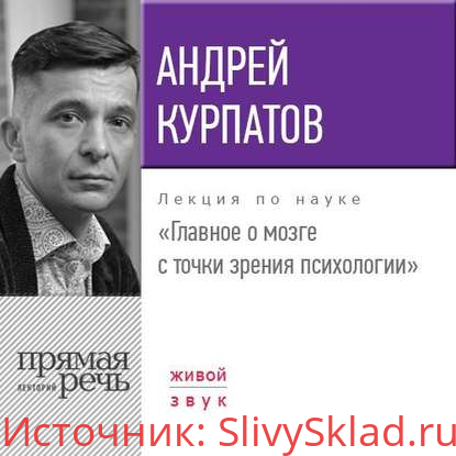 Картинка [Андрей Курпатов] Лекция «Главное о мозге с точки зрения психологии»