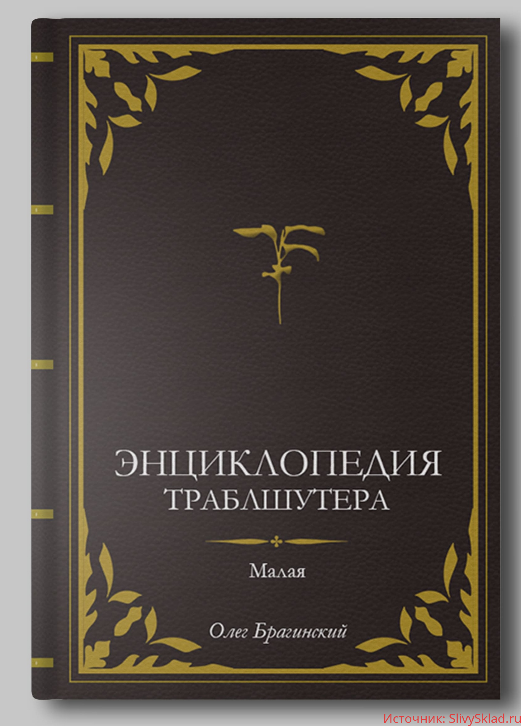 Картинка [Олег Брагинский] Малая Энциклопедия Траблшутера (2019)