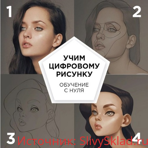 Картинка [Fenix] Анастасия Васильева - Базовый курс по цифровому рисунку (2019)