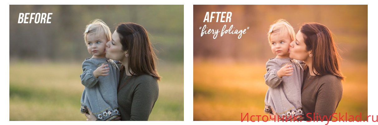 Картинка Коллекция пресетов Forever Fall Lightroom (2019)