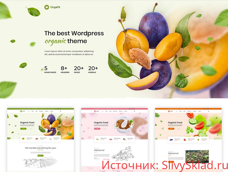Картинка [CreativeWS] OrgaFit - Organic and Health WordPress Theme