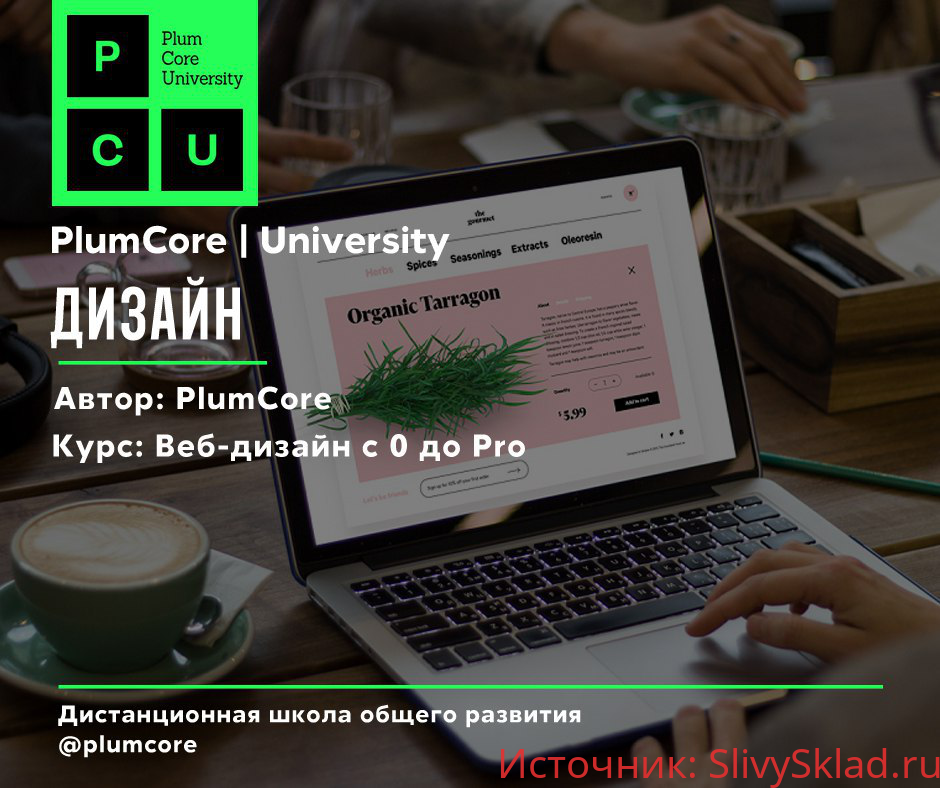Картинка [PlumCore] Веб-дизайн с 0 до Pro