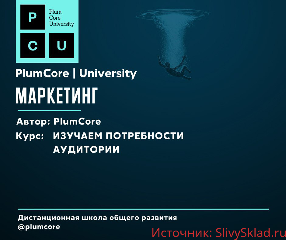 Картинка [PlumCore] Изучаем потребности аудитории (2019)