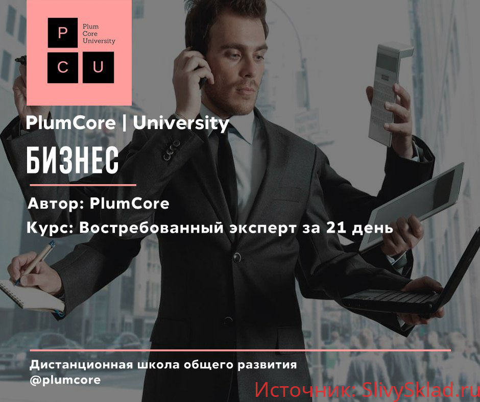 Картинка [PlumCore] Востребованный эксперт за 21 день (2019)