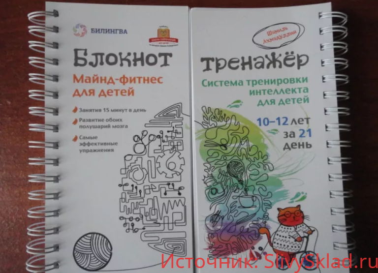 Картинка [Ахмадуллин] Система тренировки интеллекта детей 10-12 лет за 21 день (2016)
