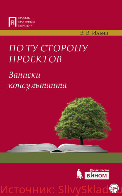 Картинка [Владислав Ильин] По ту сторону проектов. Записки консультанта