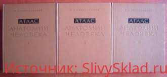Картинка [Синельников Р.Д., Воробьёв В.П.] Атлас анатомии человека (профессора Синельникова)