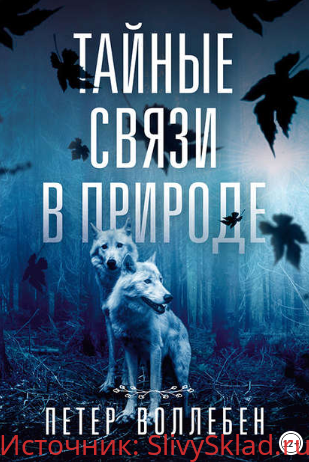 Картинка [Петер Вольлебен] Тайные связи в природе (2019)