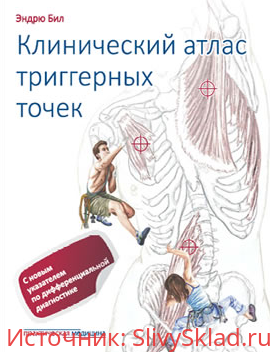 Картинка [Эндрю Бил] Путеводитель по телу. Клинический атлас триггерных точек