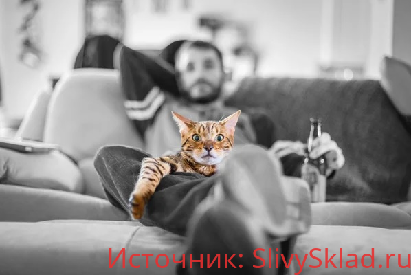 Картинка [Алексей Фалеев] Идеальная мотивация (2018)