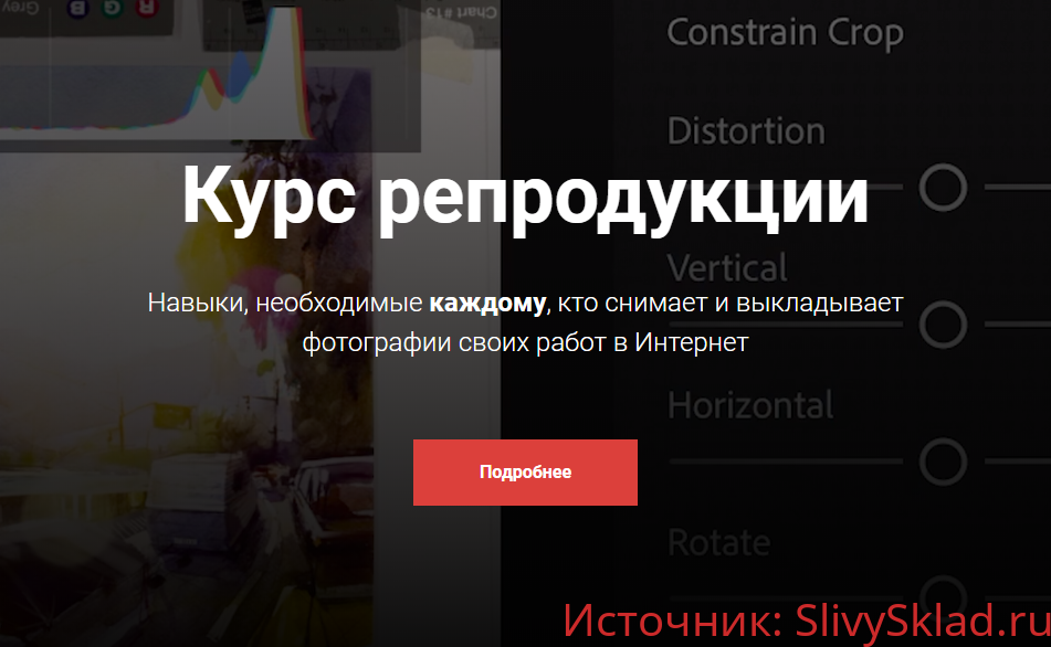 Картинка [Александр Коробов] Курс репродукции [Kalacheva school]