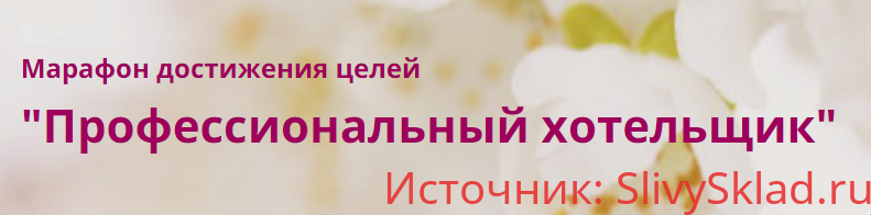 Картинка [Мария Денисова] Профессиональный хотельщик (2020)