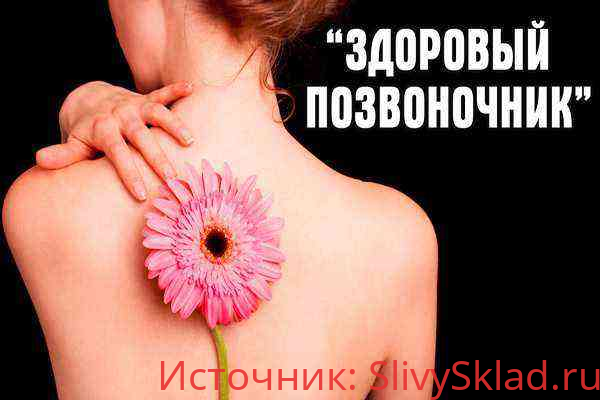 Картинка [Екатерина Федорова] Здоровый позвоночник (2019)