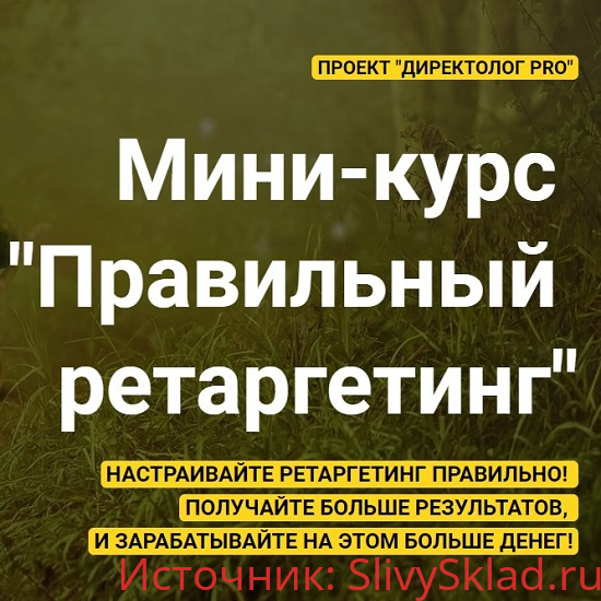 Картинка [Михаил Сабанин] Мини-курс "Правильный ретаргетинг" (2020)