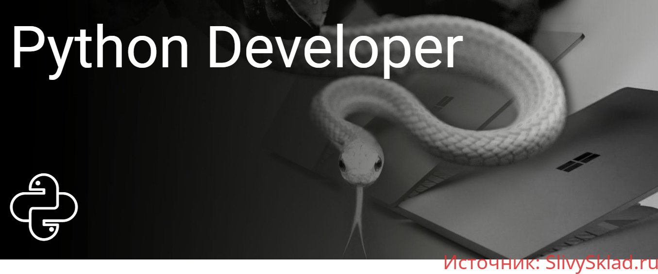 Картинка [ITVDN] Python Developer (2015-2020)