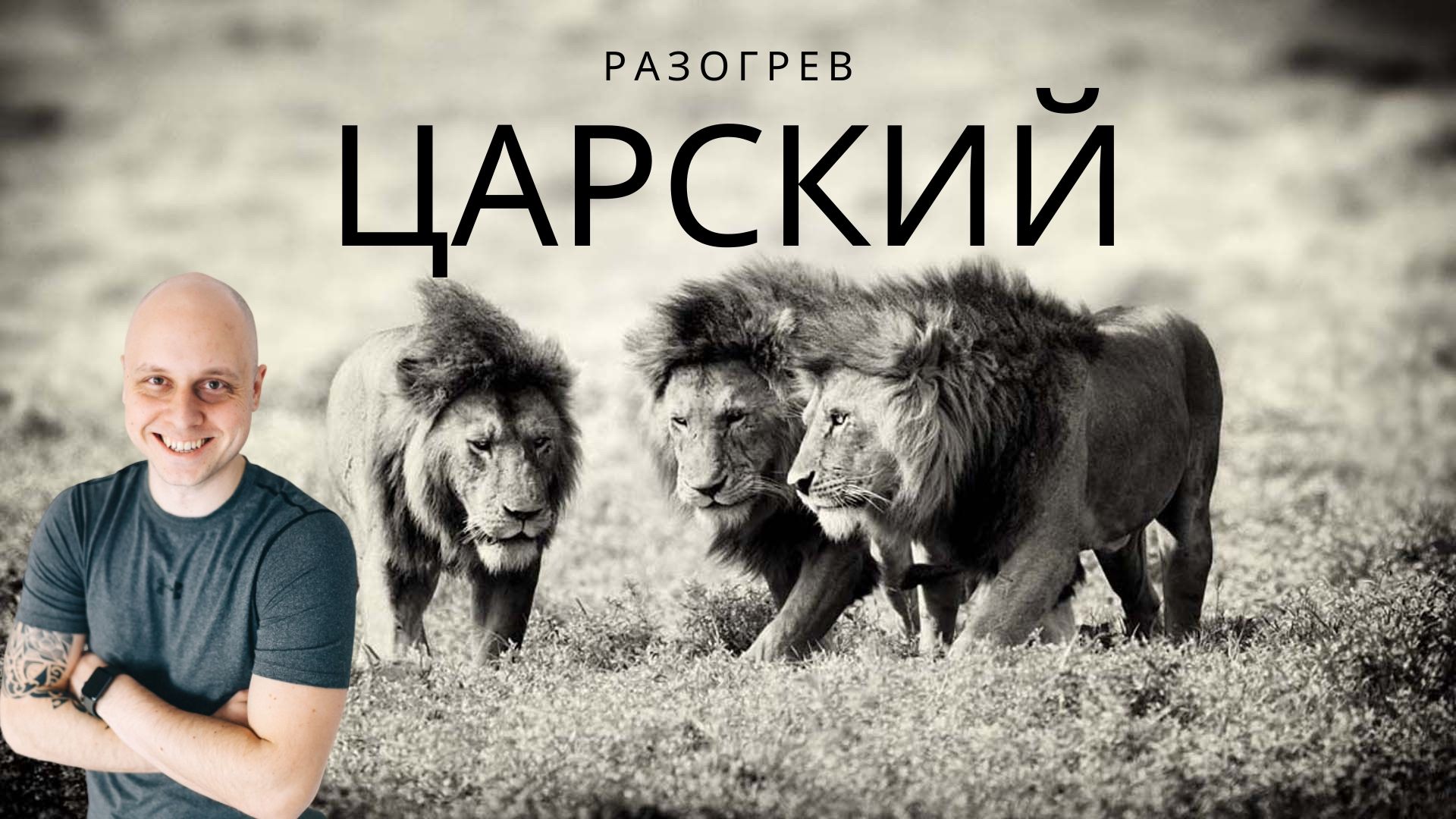 Картинка [Дмитрий Коренко] Царский разогрев [2020]