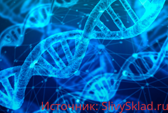 Картинка [Тамир Шихалиев] Курс Поднять иммунитет (2020)