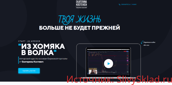 Картинка [Екатерина Костевич] Из Хомяка в Волка 5.0. Тариф Wall Street
