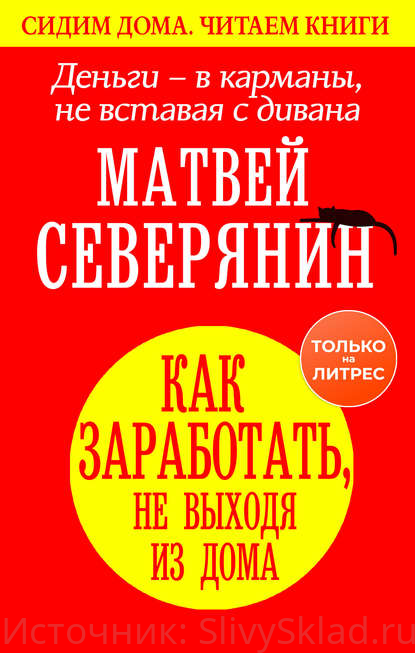 Картинка [Матвей Северянин] Деньги – в карманы, не вставая с дивана. Как заработать, не выходя из дома (2020)
