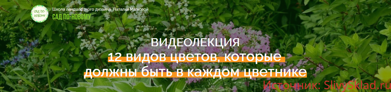 Картинка [Наталья Мягкова] 12 видов цветов, которые должны быть в каждом цветнике (2018)