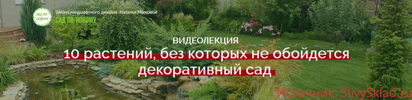 Картинка [Наталья Мягкова] 10 растений, без которых не обойдется декоративный сад (2018)