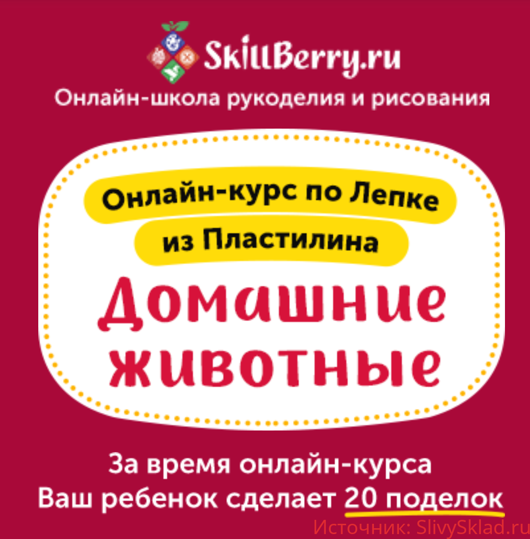 Картинка [Skillberry] Лепка из пластилина. Домашние животные (2020)