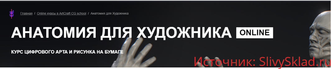 Картинка [ArtCraft - Артём Зигура] Анатомия для художника (2020)