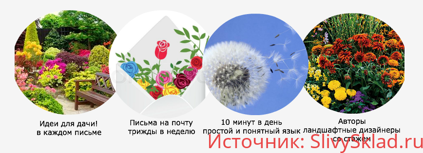 Картинка Ландшафтный дизайн для занятых (2016)