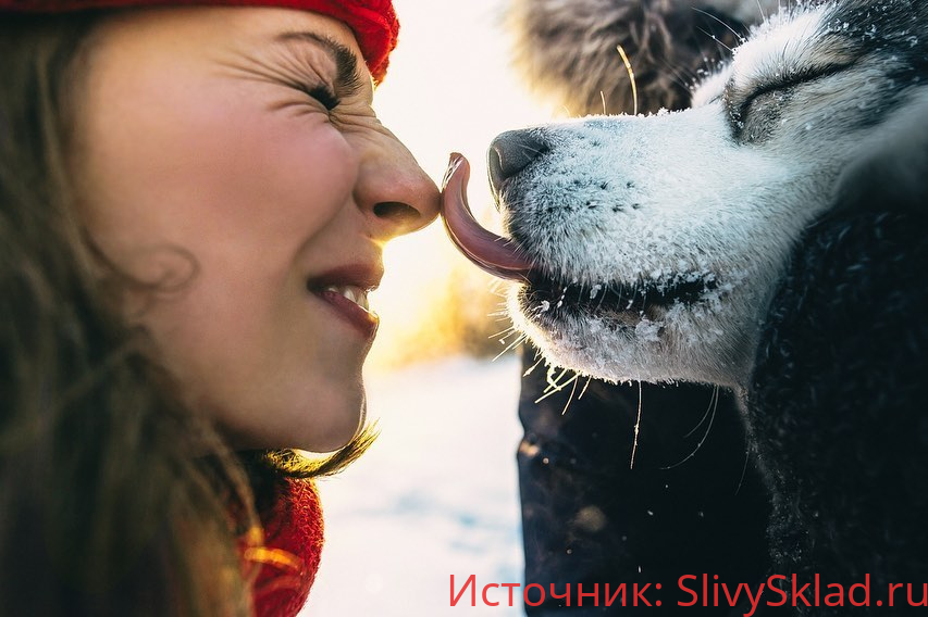 Картинка [Максим Добрый] Univer v4 (2020)